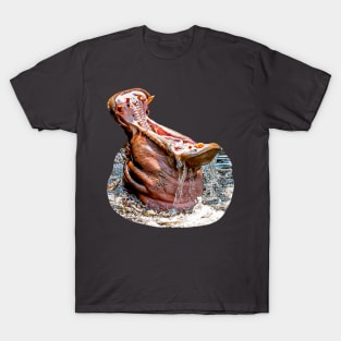Open Wide Hippo T-Shirt